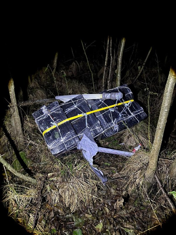Lithuania: Three men arrested for smuggling Belarusian cigarettes into forest